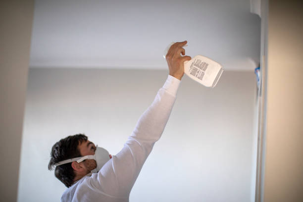 Best Commercial Mold Removal  in Ironwood, MI
