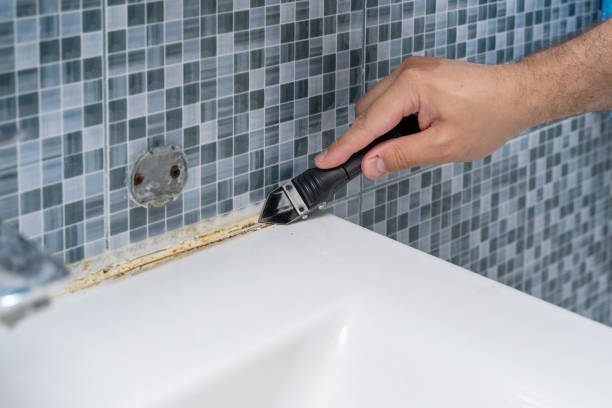 Best Mold Removal Company Near Me  in Ironwood, MI