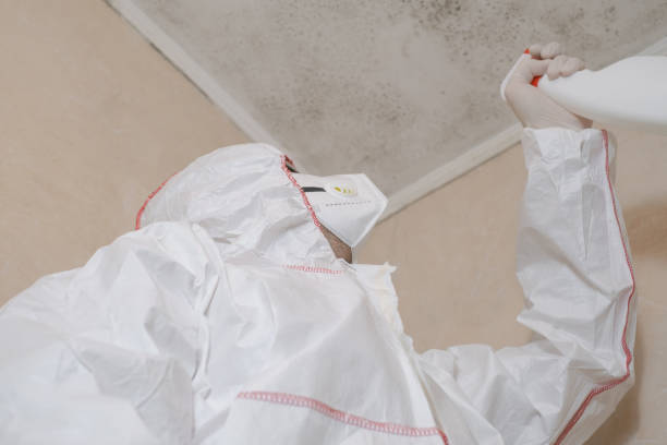 Best Office Mold Removal Services  in Ironwood, MI