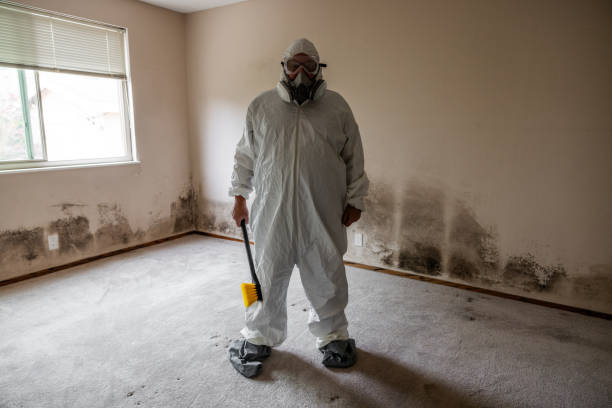 Best Mold Testing  in Ironwood, MI